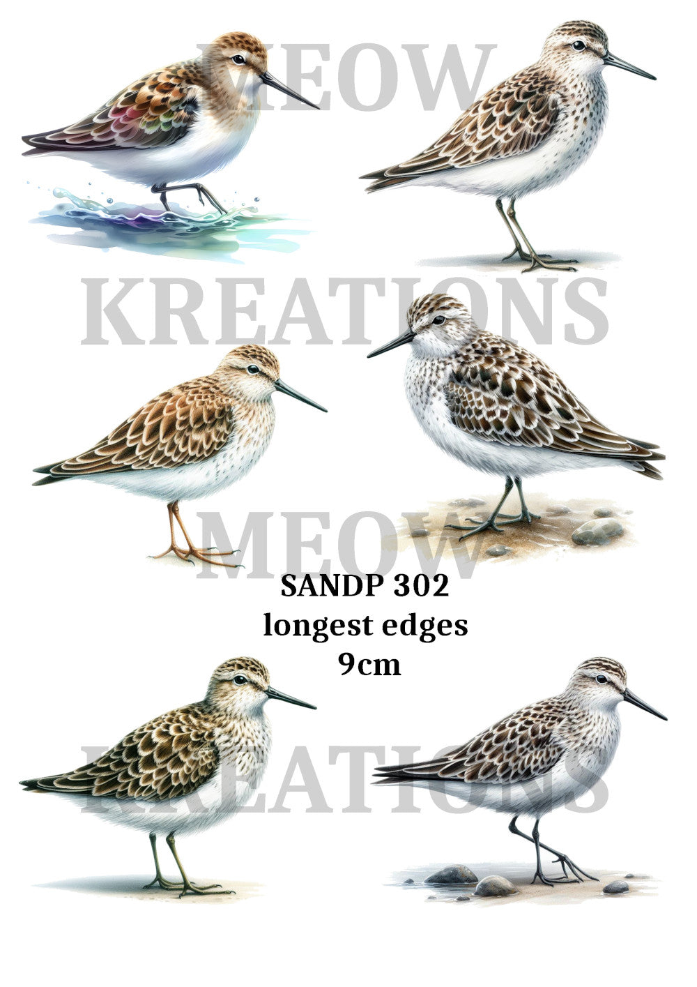 SANDP 302 – Meowkreations