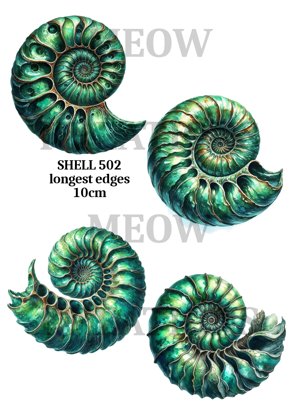 SHELL 502