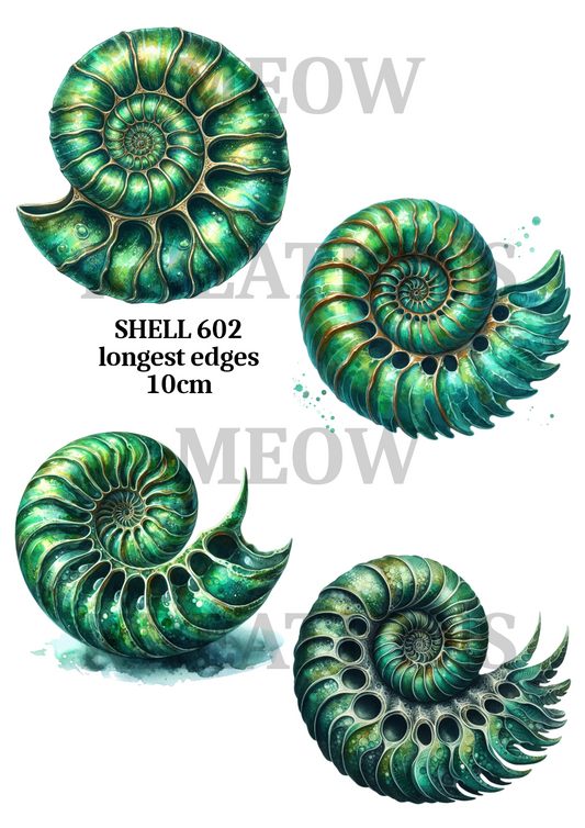 SHELL 602