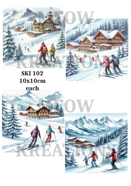 SKI 102