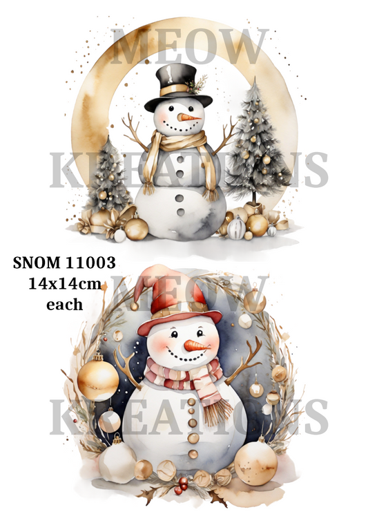 SNOM 11003