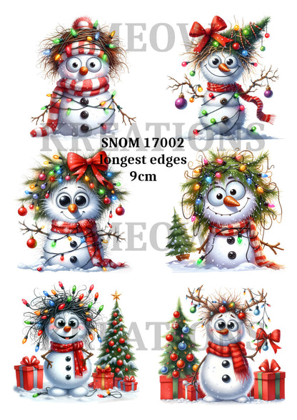 Decoupage Rice Paper - SNOM 17002