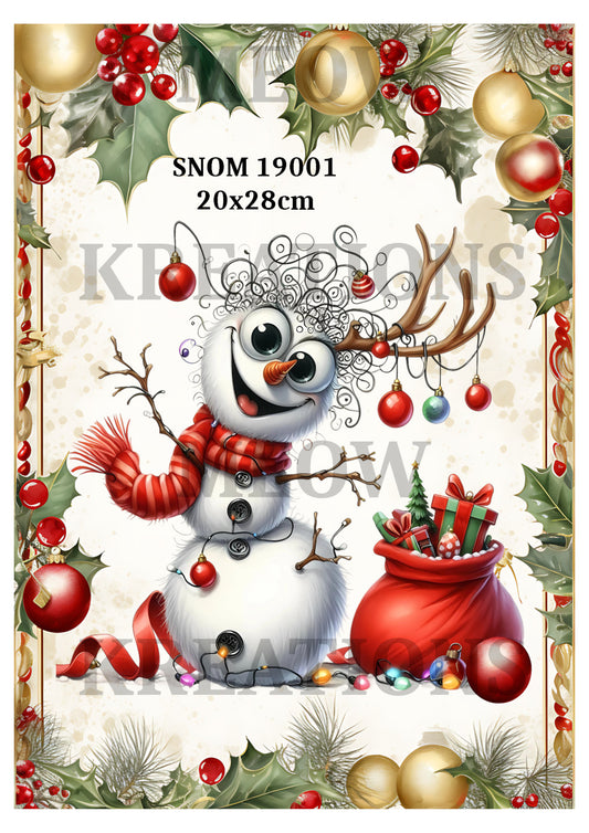 SNOM 19001