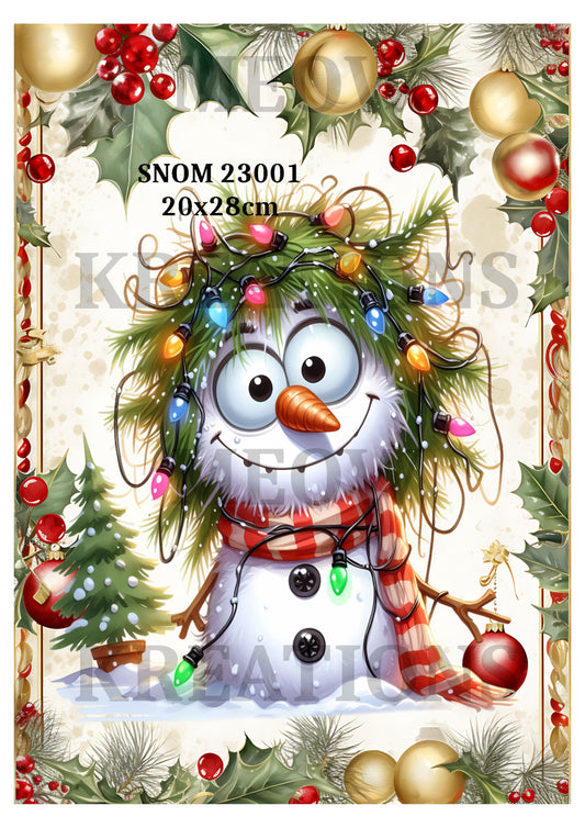 SNOM 23001