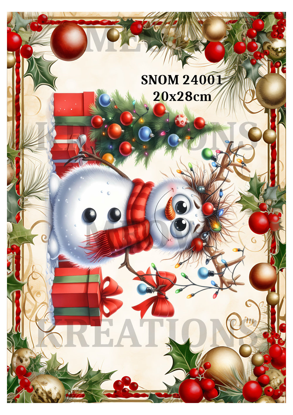 SNOM 24001