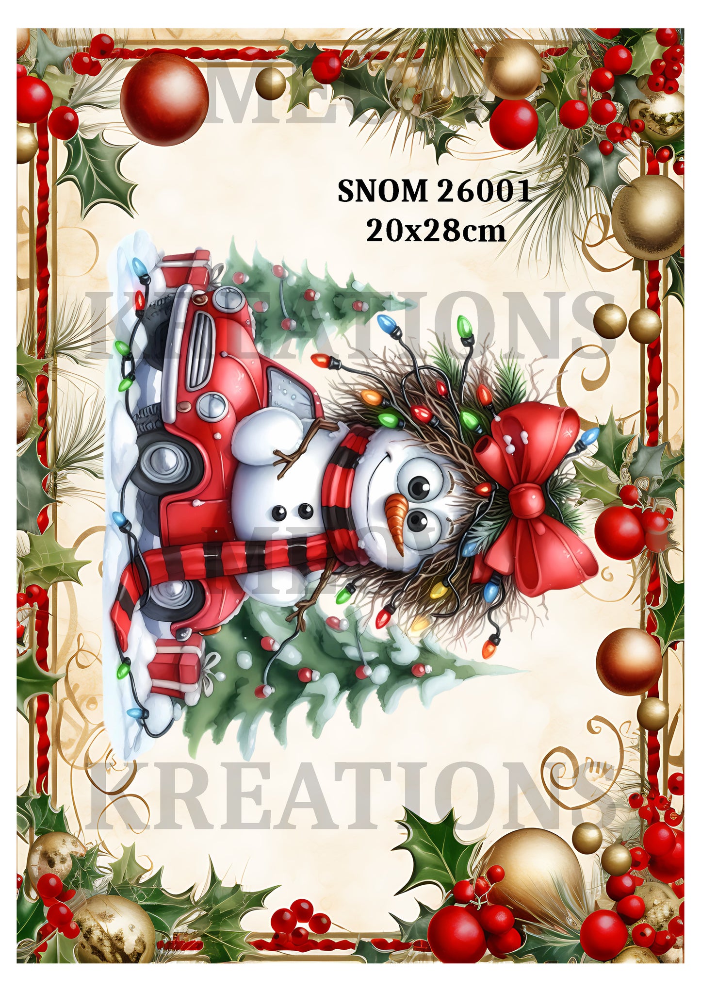 SNOM 26001