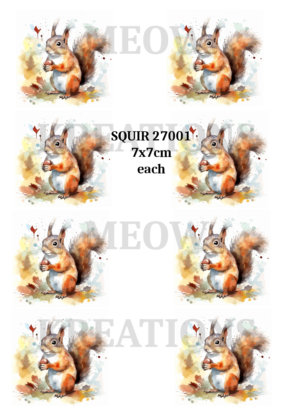 SQUIR 27001