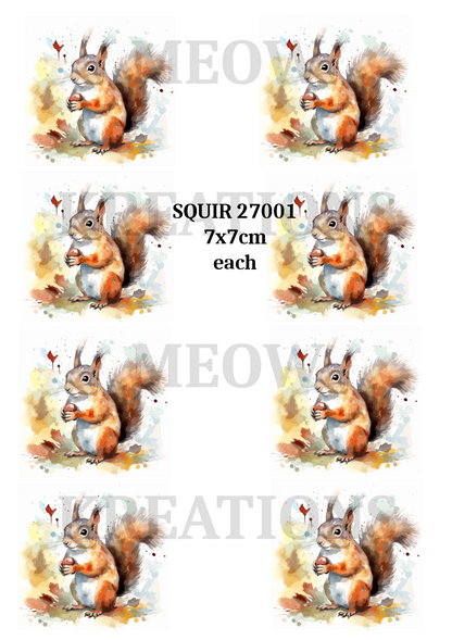 Decoupage Rice Paper - SQUIR 27001