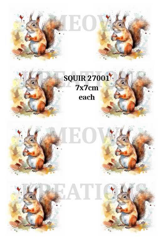 SQUIR 27001