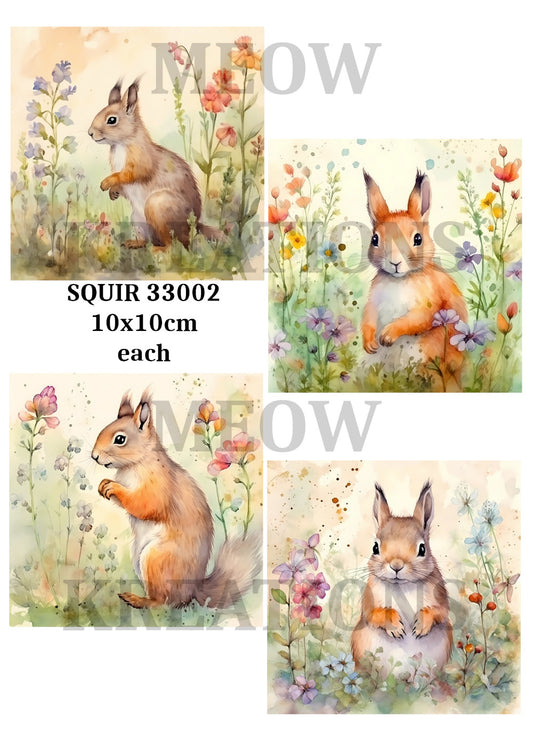 SQUIR 33002