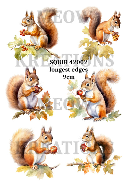 Decoupage Rice Paper - SQUIR 42002