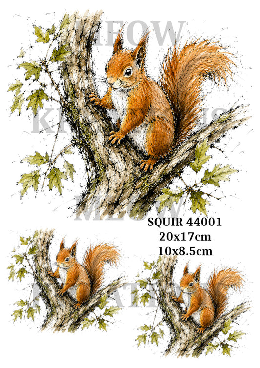 SQUIR 44001