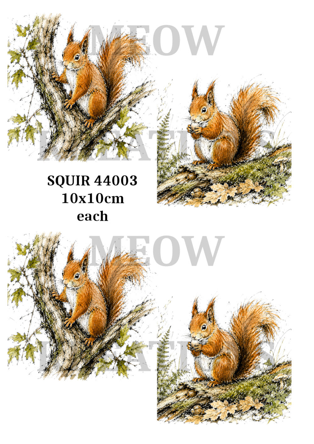 SQUIR 44003