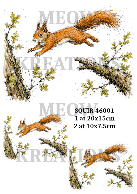 SQUIR 46001