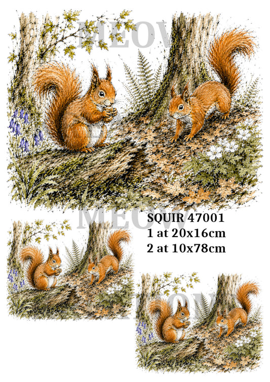 SQUIR 47001