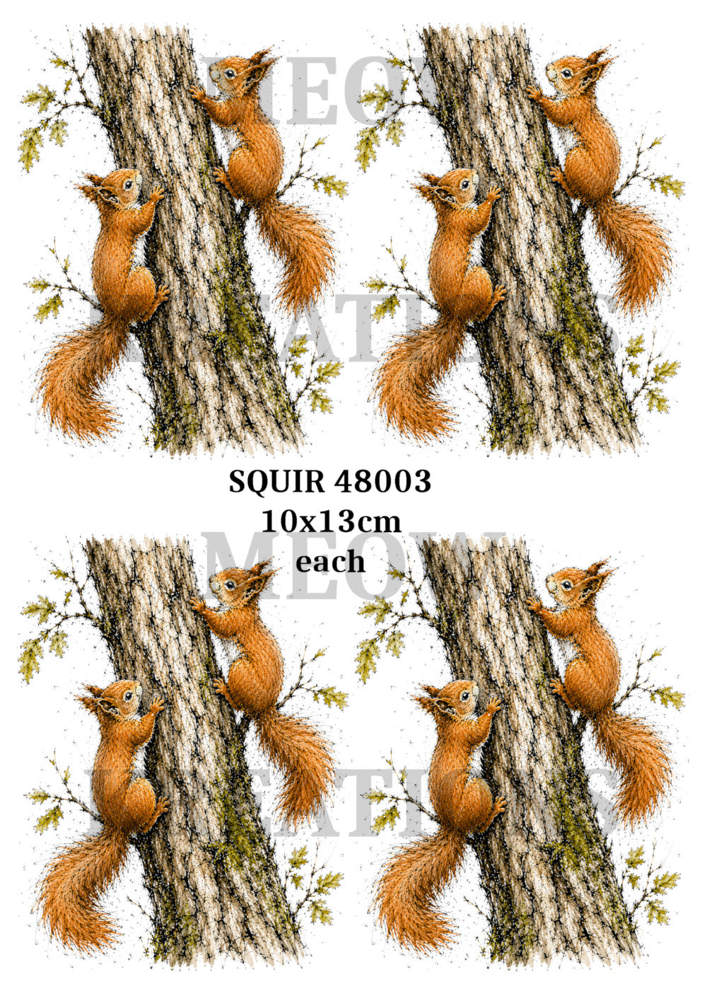SQUIR 48003