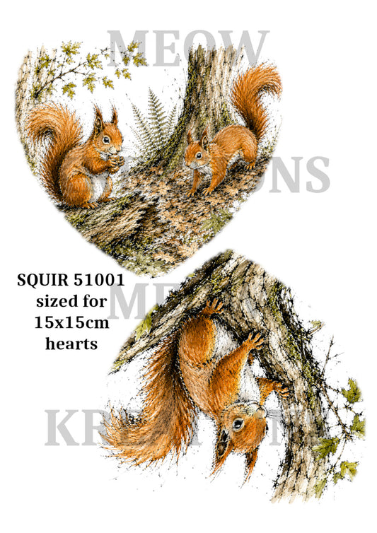 SQUIR 51001