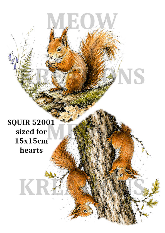 SQUIR 52001