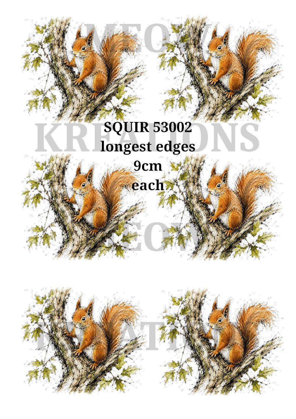SQUIR 53002