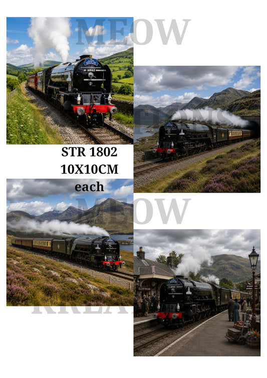 STR 1802