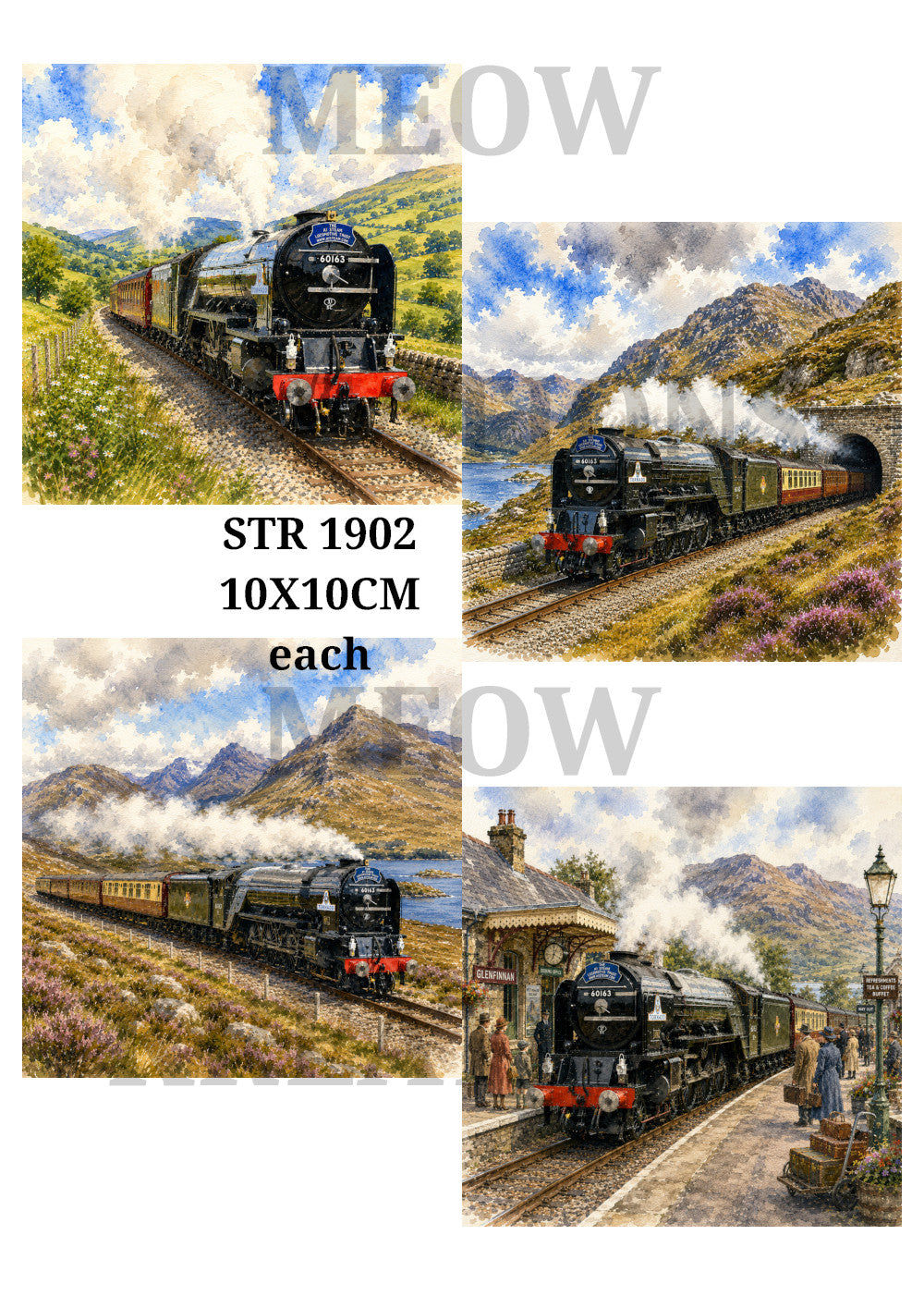 STR 1902