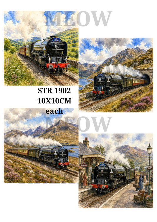 STR 1902