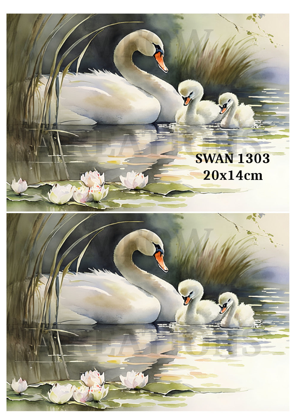 SWAN 1303