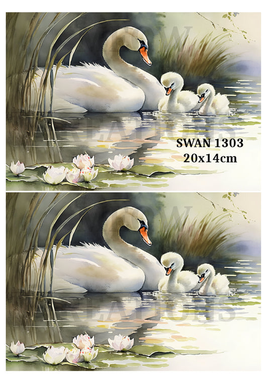 SWAN 1303