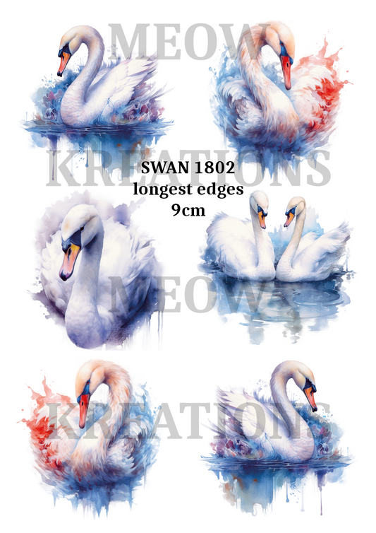 SWAN 1802