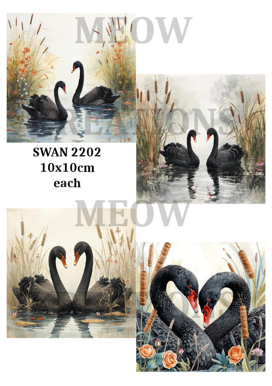 SWAN 2202
