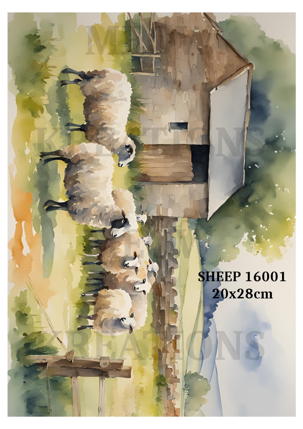 SHEEP 16001