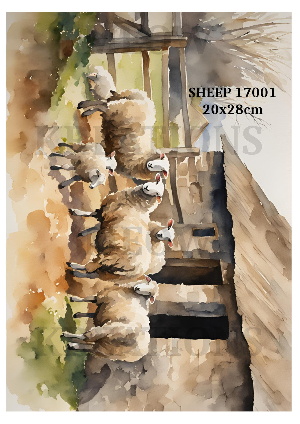 SHEEP 17001