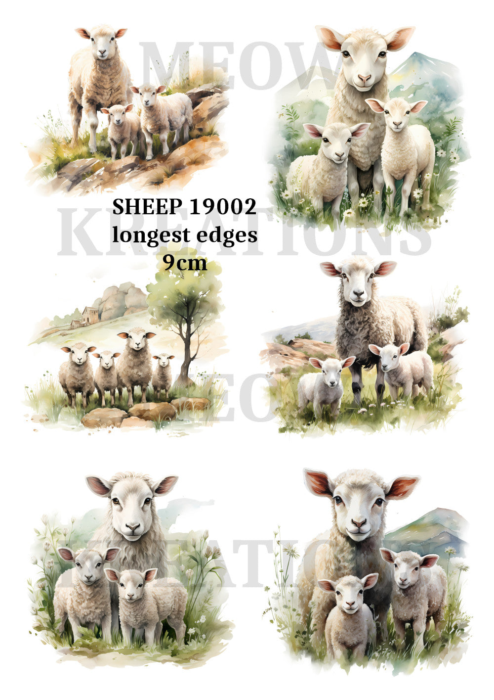 SHEEP 19002