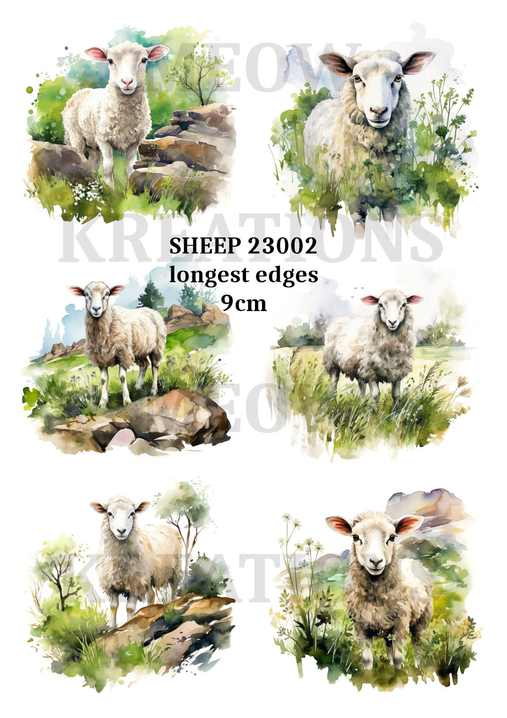 SHEEP 23002