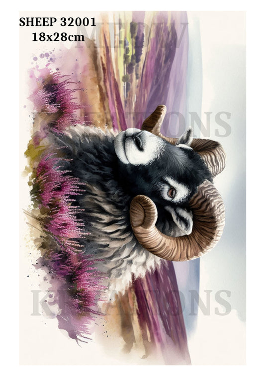 SHEEP 32001