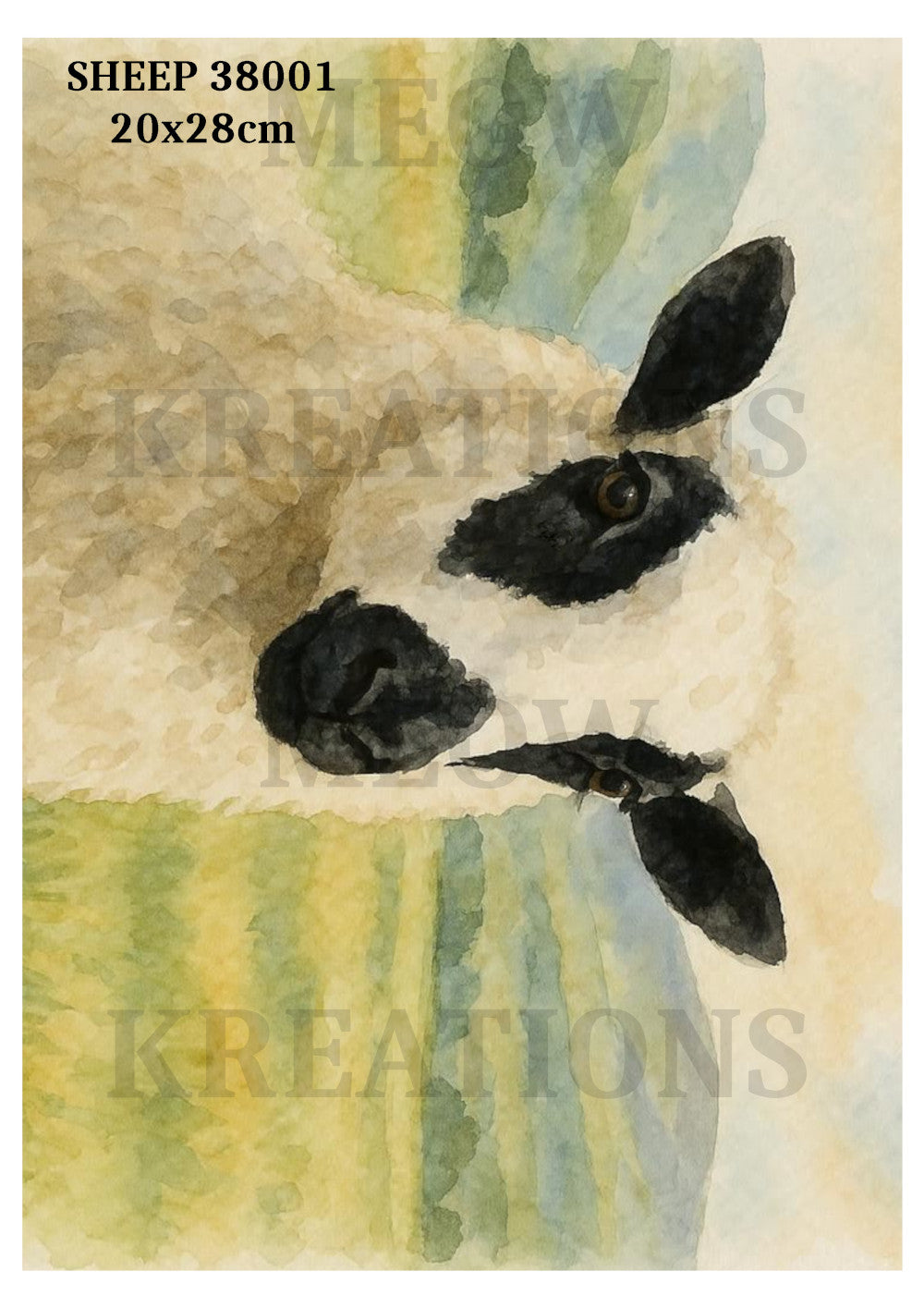 SHEEP 38001