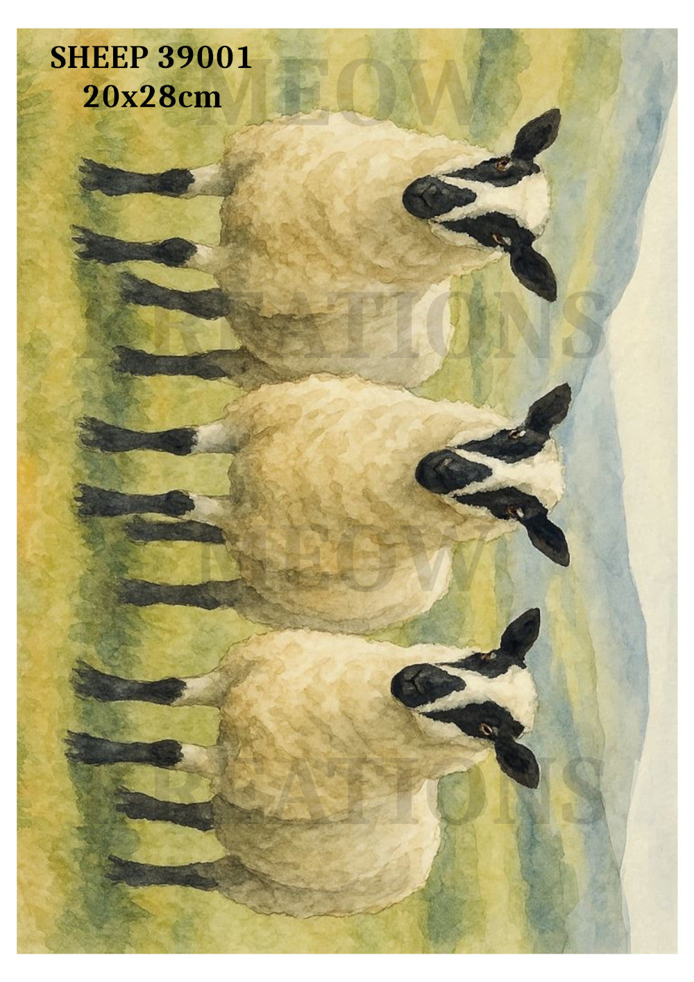 SHEEP 39001