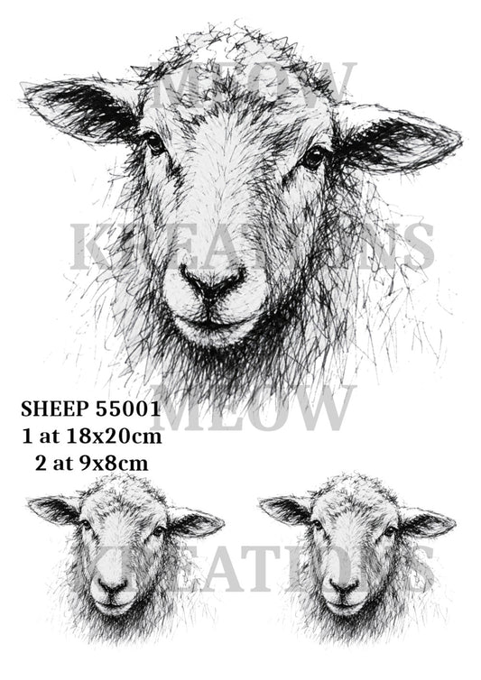 SHEEP 55001