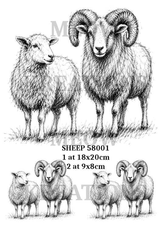 SHEEP 58001