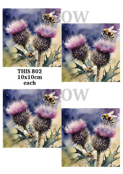 Scottish Thistle & Bee Decoupage Rice Paper - THIS 802