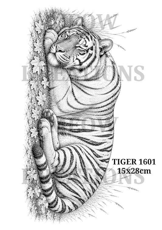 TIGRE 301