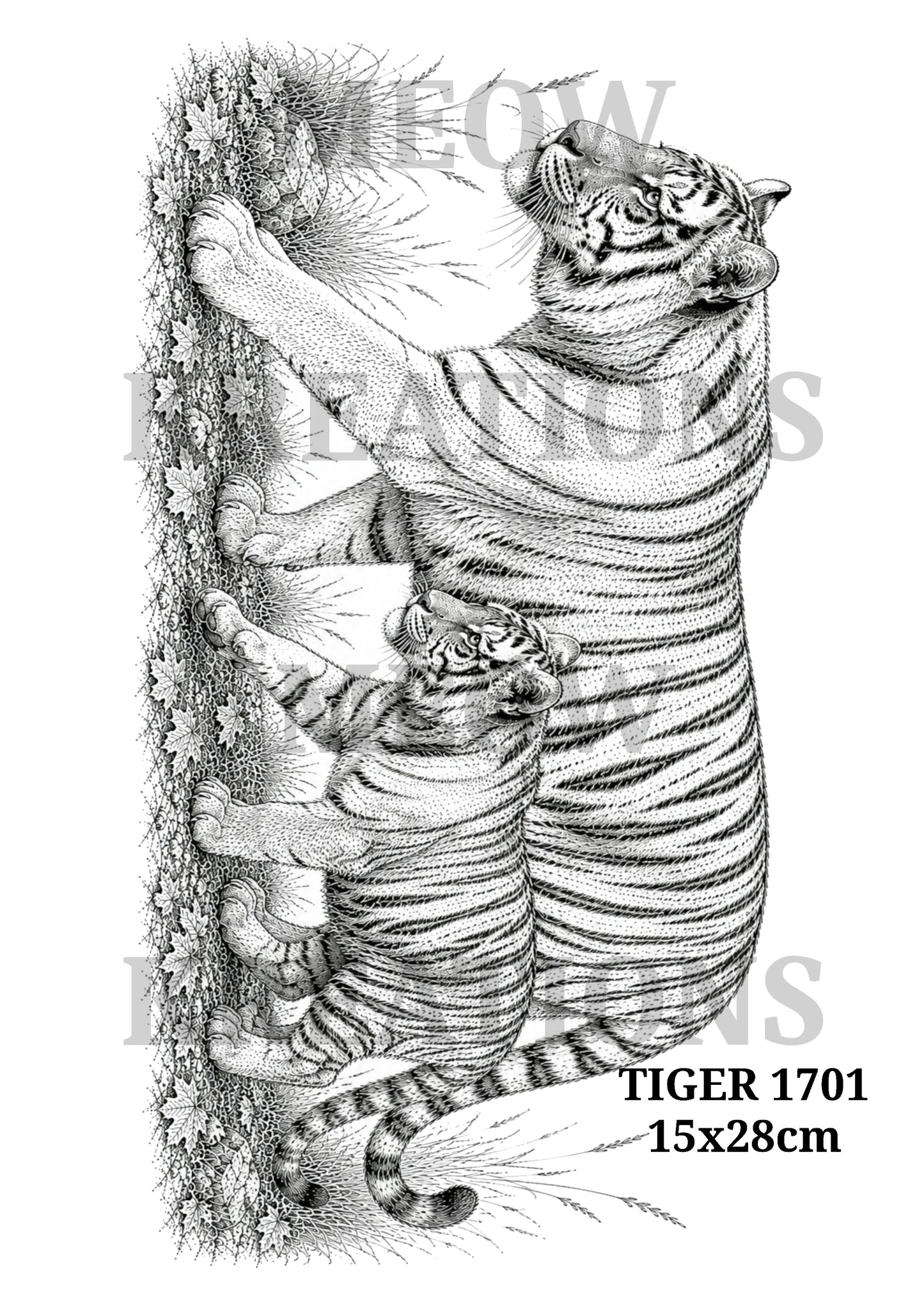 TIGER 1701