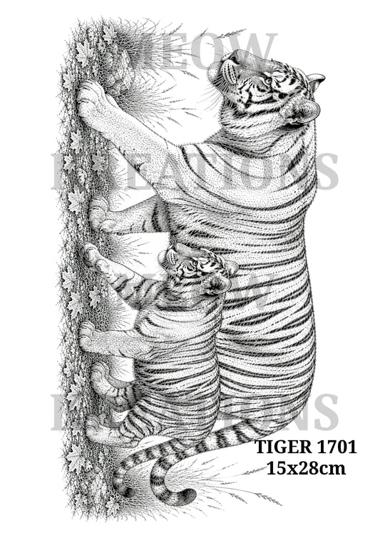 TIGER 1701
