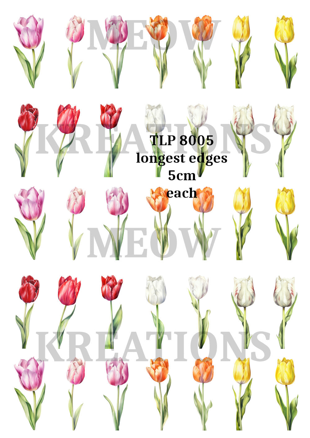 TLP 8005