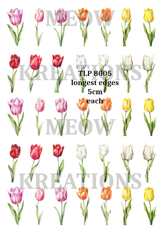 TLP 8005