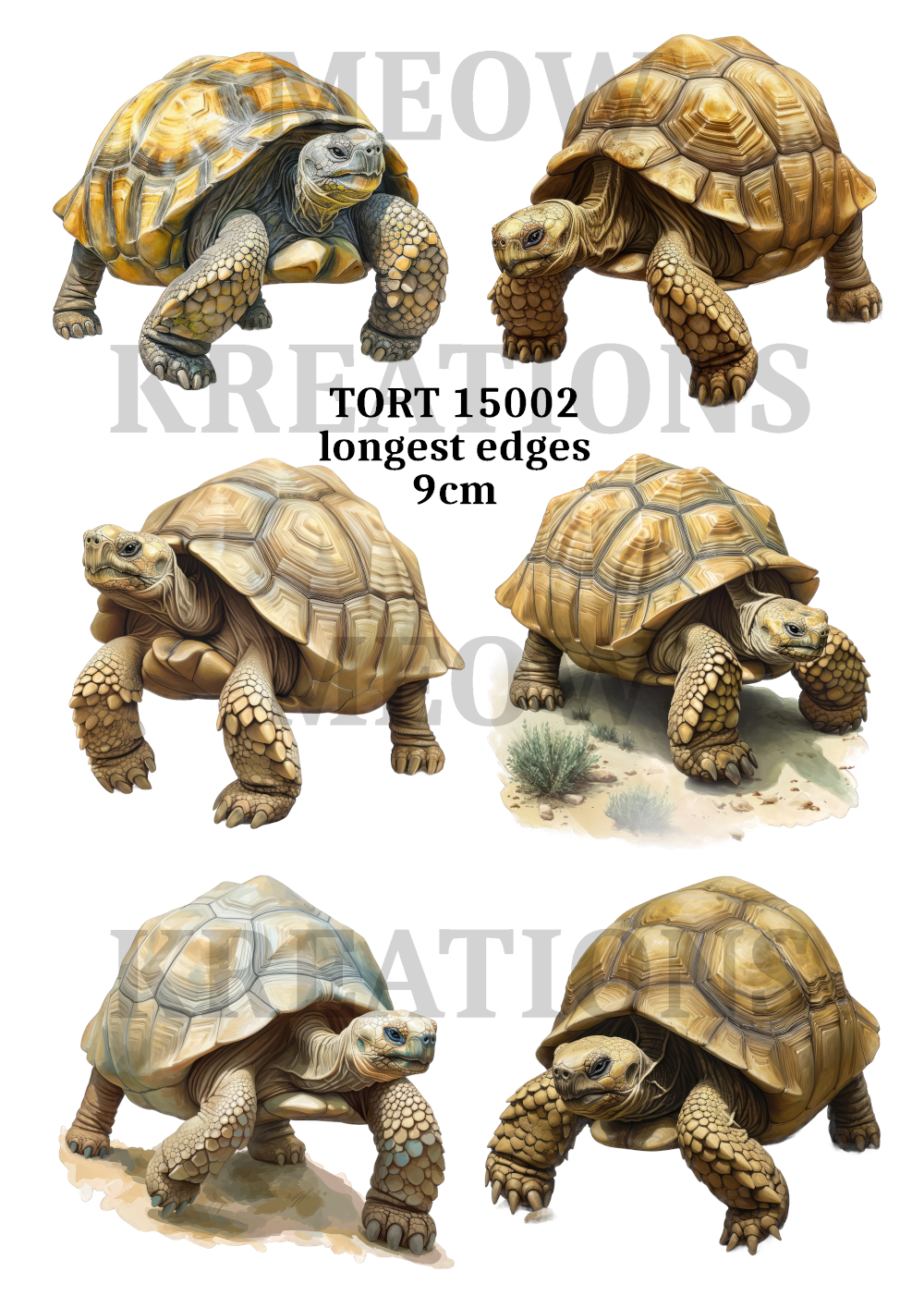 TORT 15002