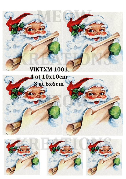 VINTXM 1001