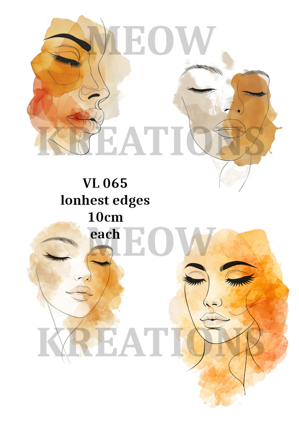 VL 065