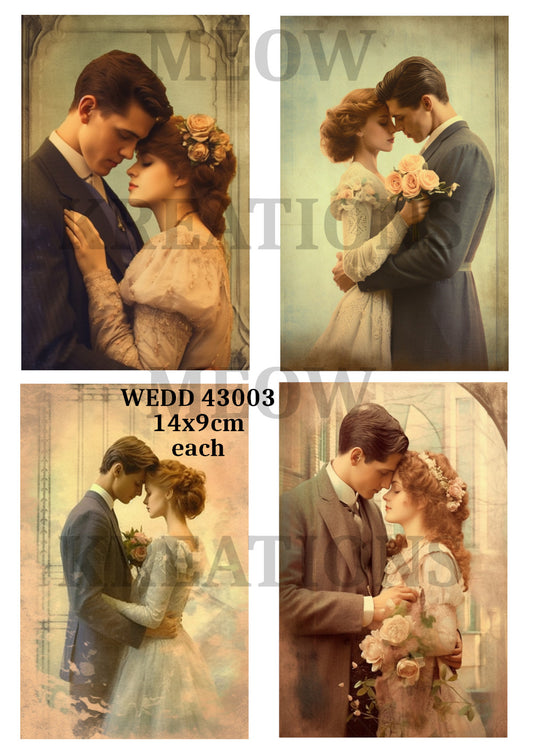 WEDD 43003