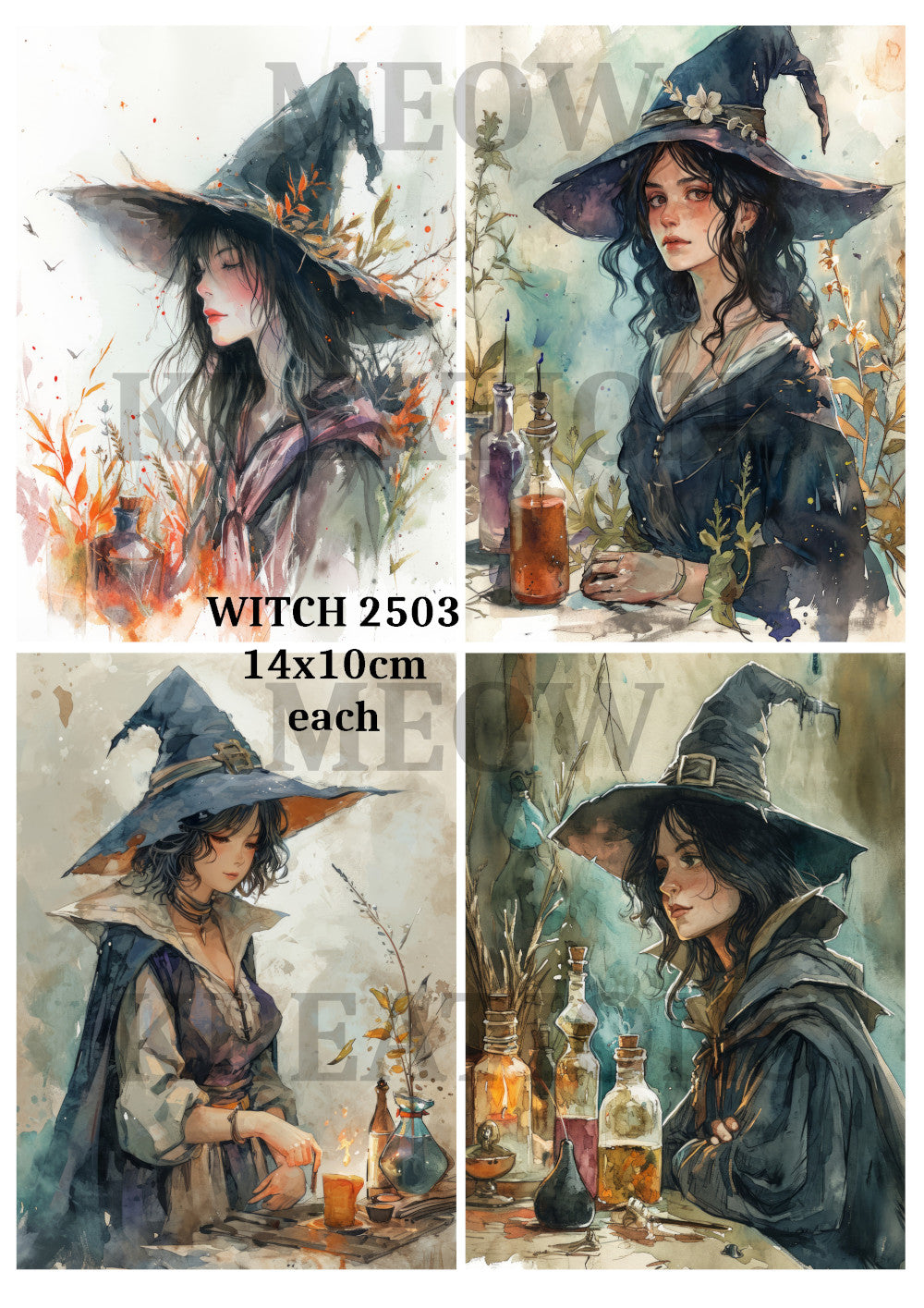 WITCH 2503